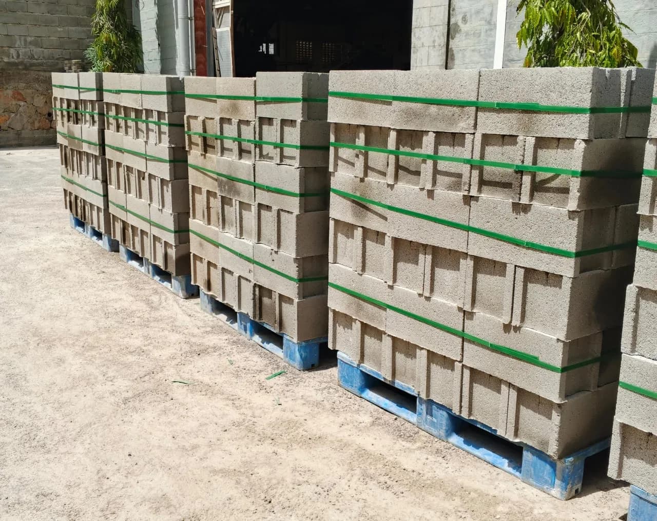 Production floor with blocks curing in rows